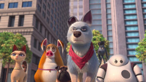 Pet United