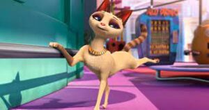 Pet United