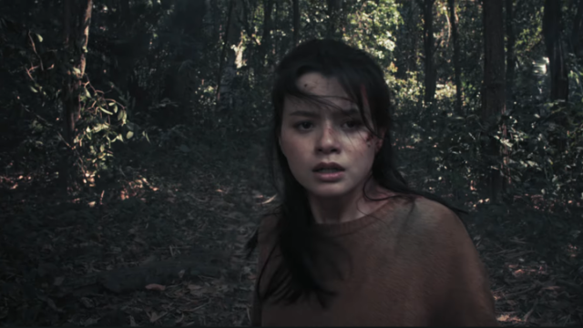 4 ป่าช้า