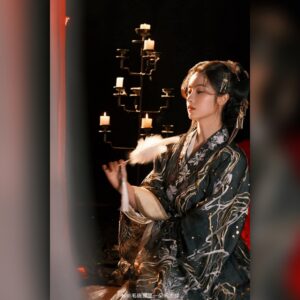 ผู้พิทักษ์รัตติกาลแห่งต้าเฟิ่ง