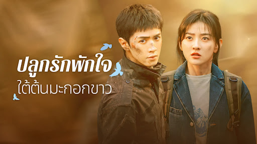 The White Olive Tree