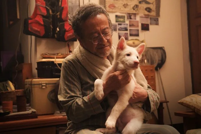 โกฮัง หัวใจโกโฮม