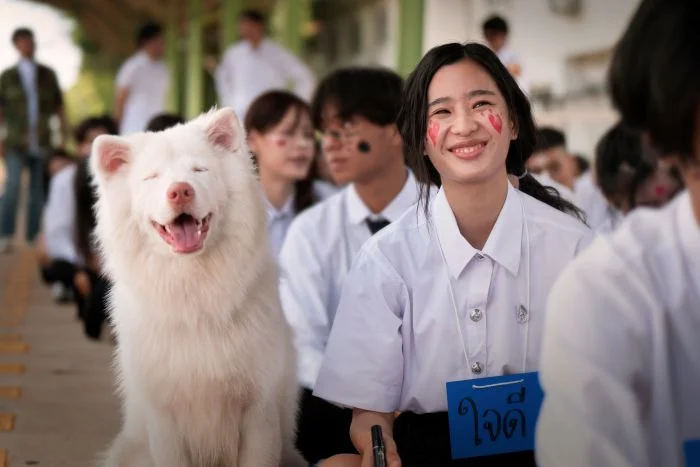 โกฮัง หัวใจโกโฮม