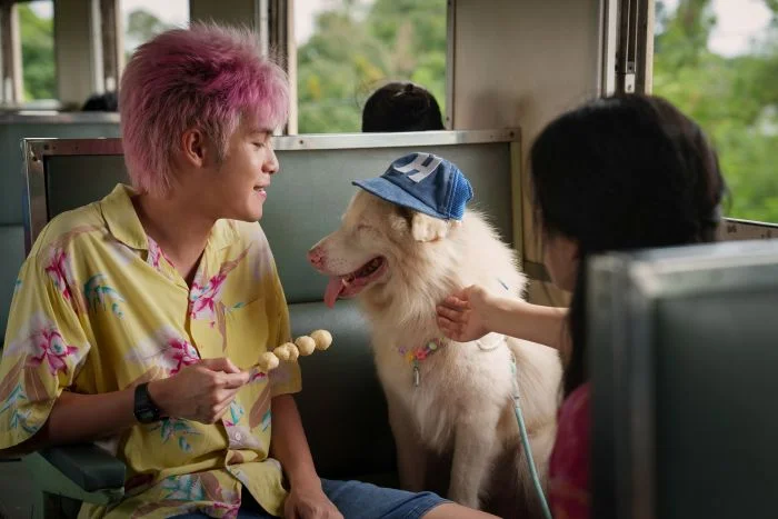 โกฮัง หัวใจโกโฮม