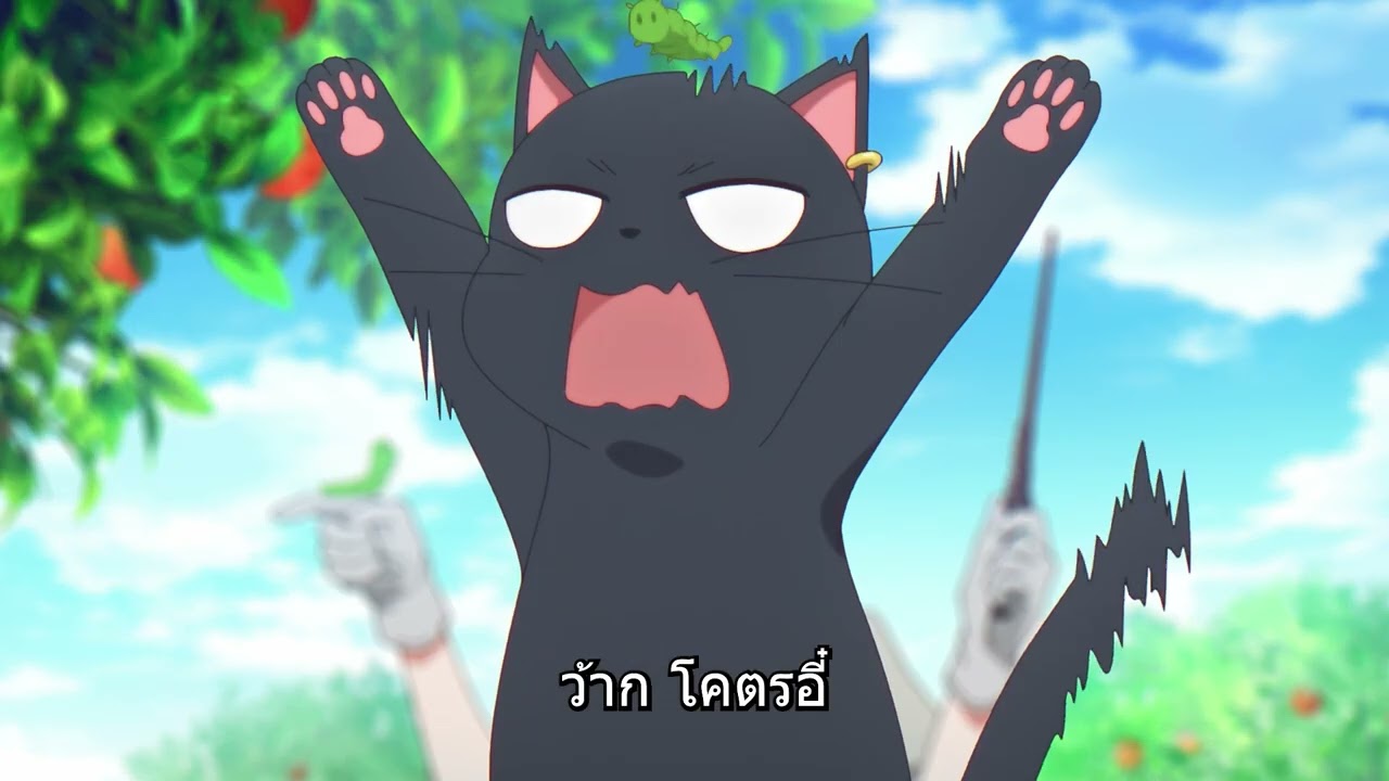 ตำแหน่งโคลด์กำลังสั่นคลอน1
